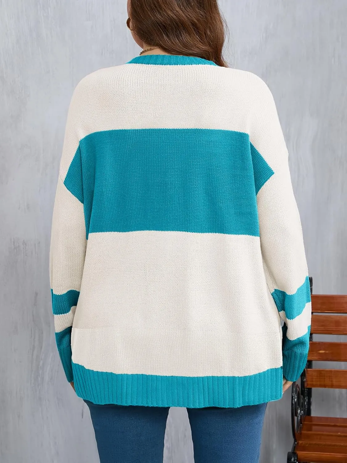 Beautife Womens Plus Size Ski Print Color Block Sweater Fall Trendy Crew Neck Long Sleeve Loose Pullover Knit Tops