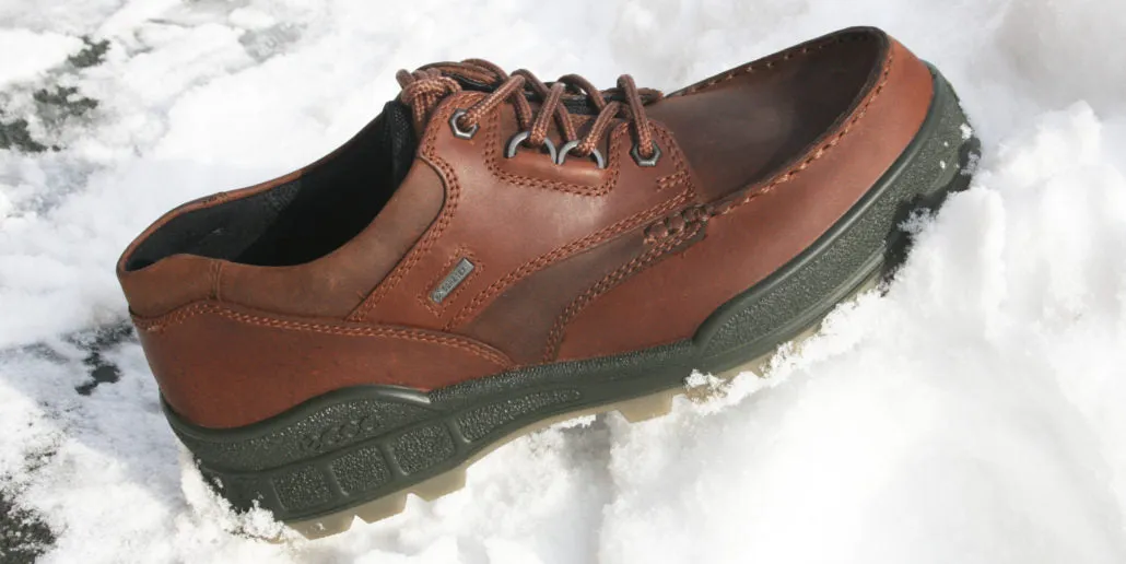Ecco Track II Low